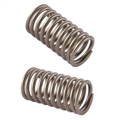 Vzmeti, odporne proti koroziji